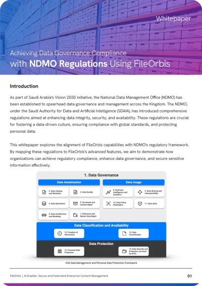 NDMO Whitepaper